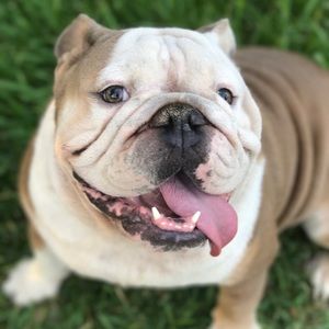 Meet your Posher, Matthew